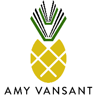 amy vansant bestselling author